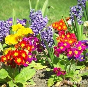 Meet your Posher, Souad